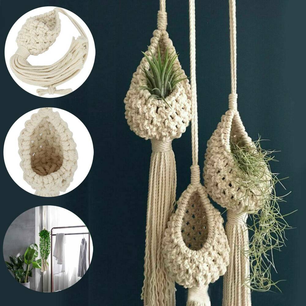 Macrame Air Plant Hanger