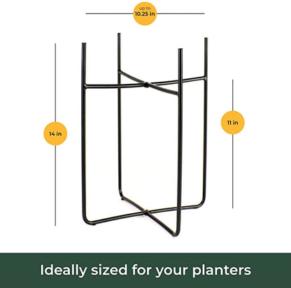 Bees & Buds Tall Metal Plant Stand Indoor