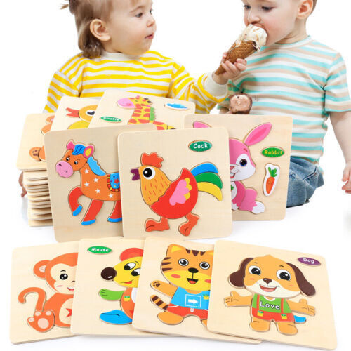 5 Set Wooden Puzzle Educational Learning Toys