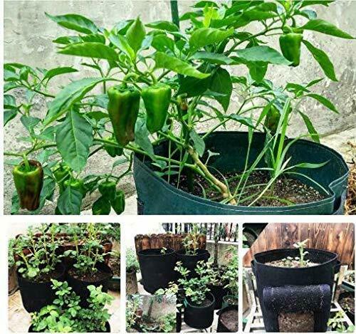 Pots Grow Planter Bags for Potato Carrot Onion