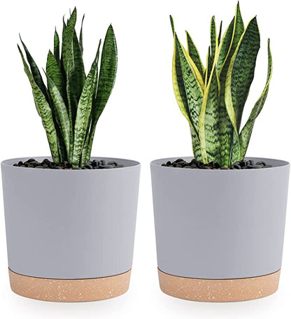 Planters for Indoor Plants with Drainage Holes and Removable Base