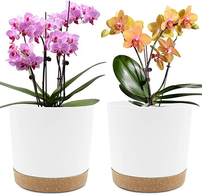 Planters for Indoor Plants with Drainage Holes and Removable Base