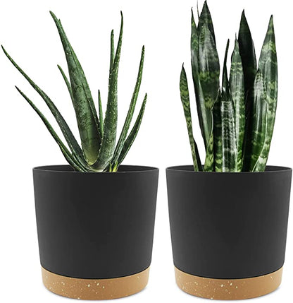 Planters for Indoor Plants with Drainage Holes and Removable Base