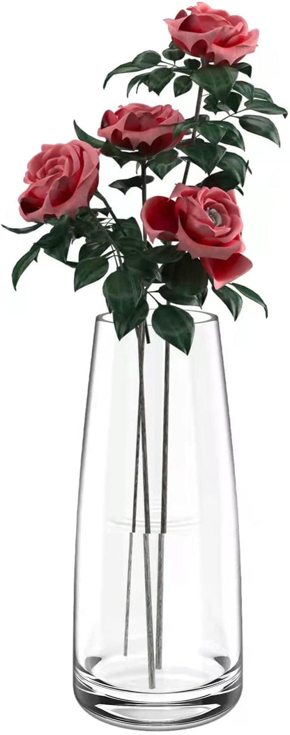 Tall Clear Glass Vases for Flower