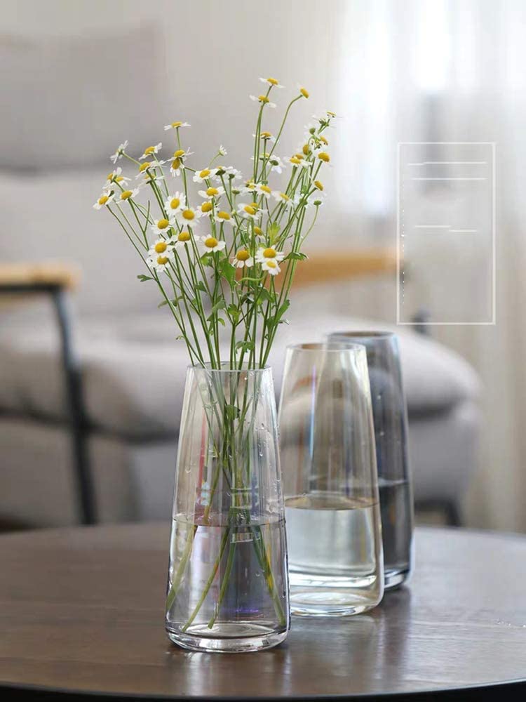 Tall Clear Glass Vases for Flower