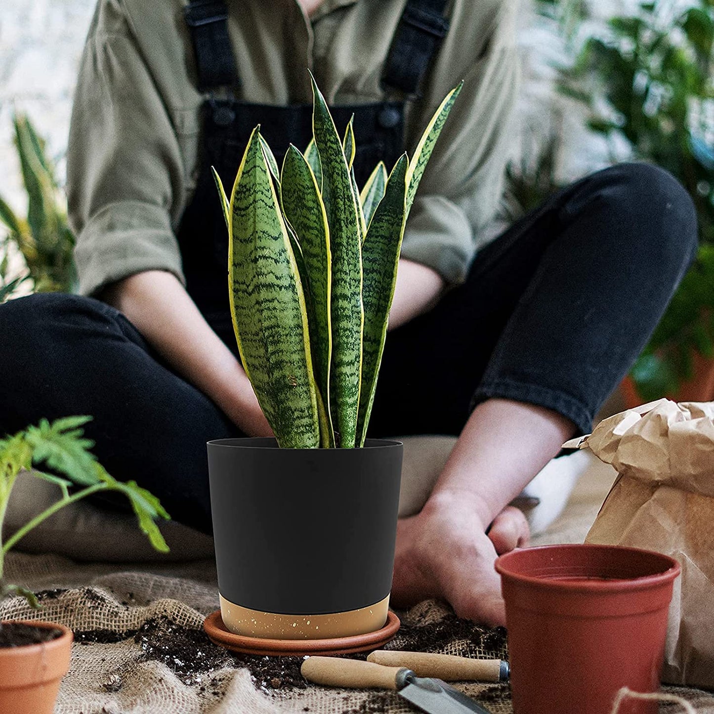 Planters for Indoor Plants