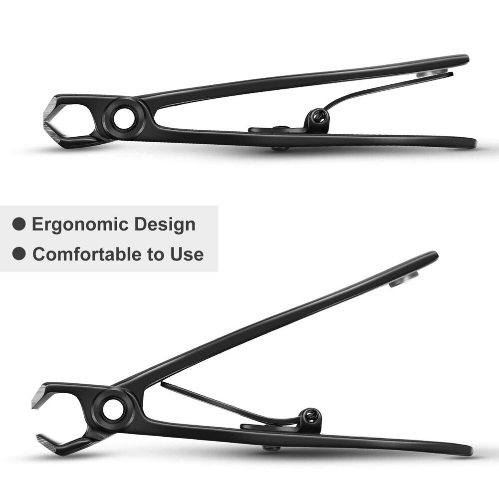 Stainless Professional Extra Large Toe Nail Clippers