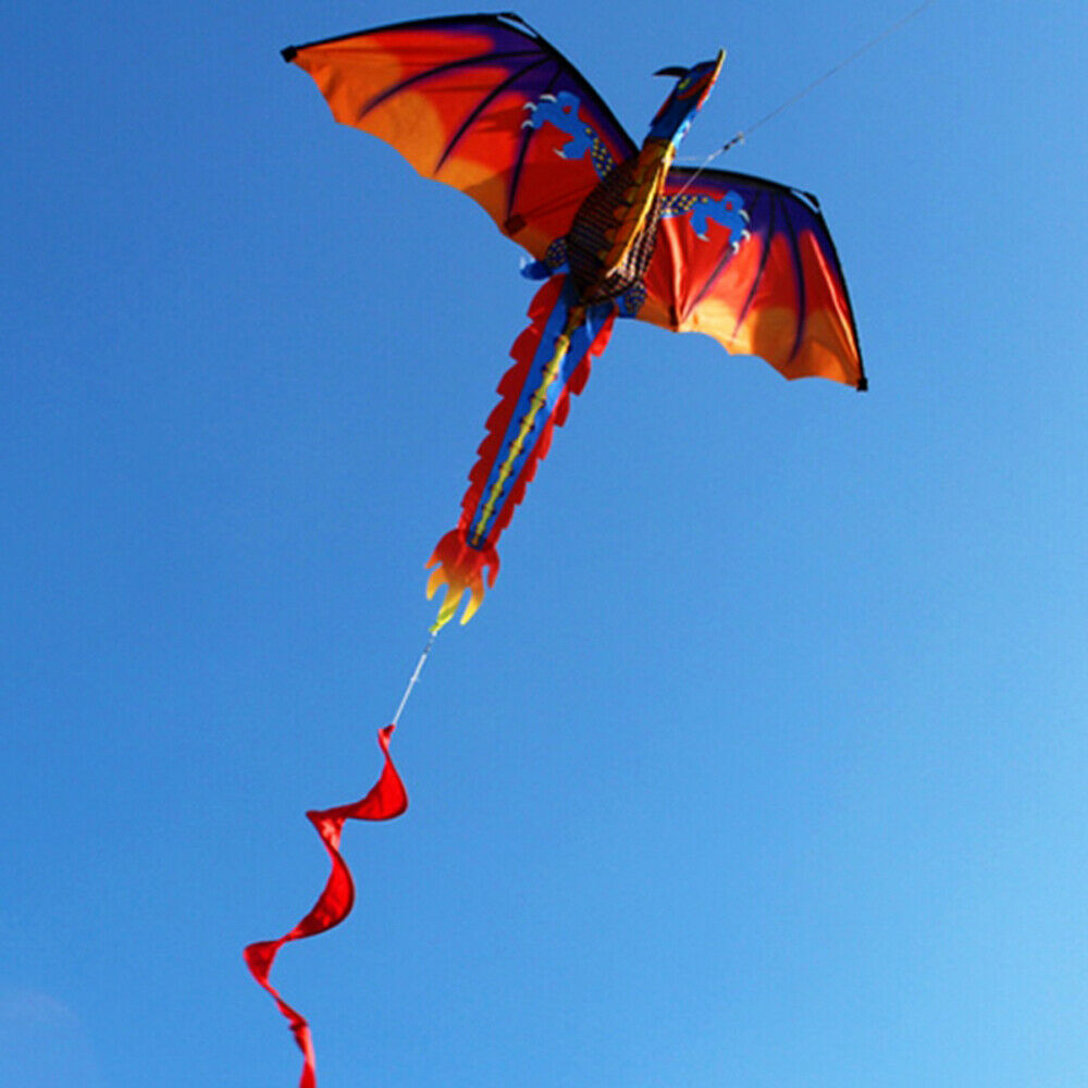 Large Single Line 3D Dragon Kite Long Tail