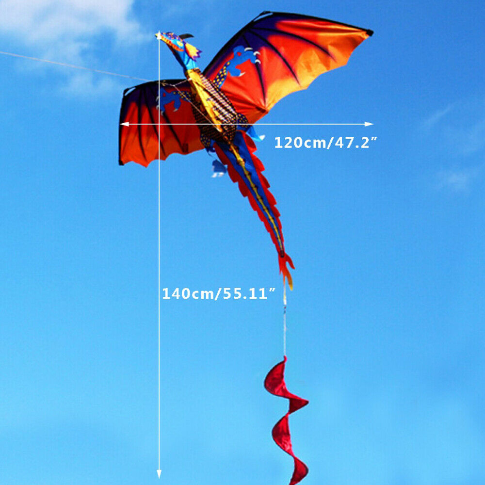 Large Single Line 3D Dragon Kite Long Tail