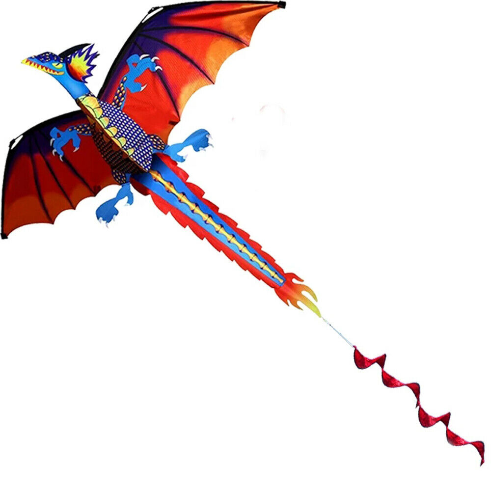 Large Single Line 3D Dragon Kite Long Tail