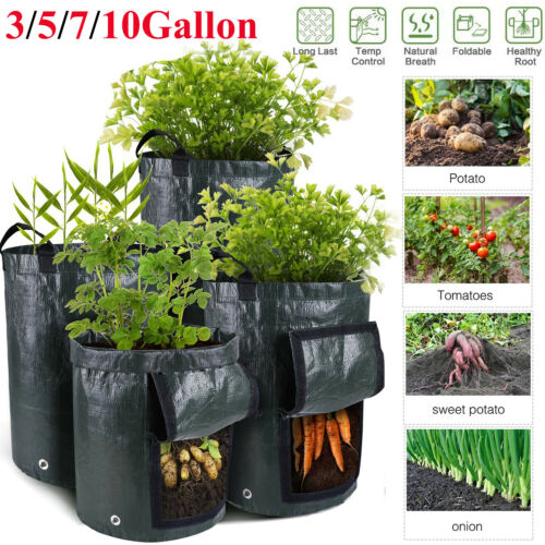 2 Pack  Grow Bag Window Planter Vegetable Potato Pot Garden