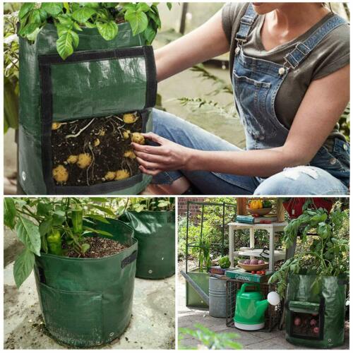 2 Pack  Grow Bag Window Planter Vegetable Potato Pot Garden