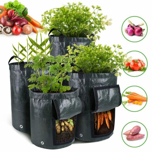 2 Pack  Grow Bag Window Planter Vegetable Potato Pot Garden