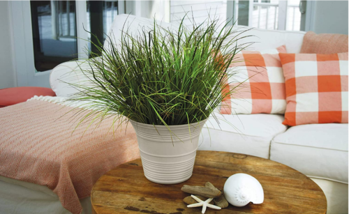 Round Planter Pot Decorative 9-Inch Self-Watering Pot Planter Pot Indoor,Outdoor